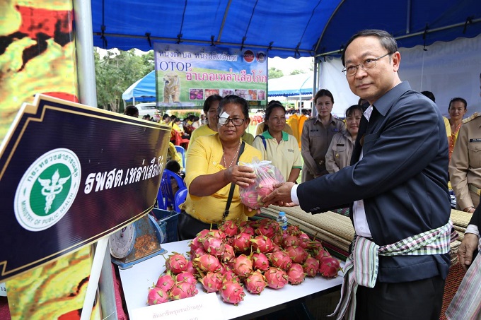 อัลบั้มภาพ