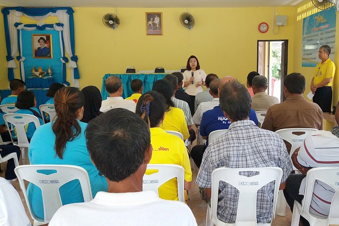 อัลบั้มภาพ