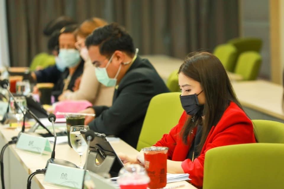 ข่าว ศปท.