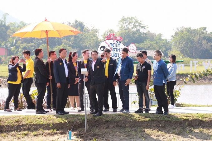 อัลบั้มภาพ