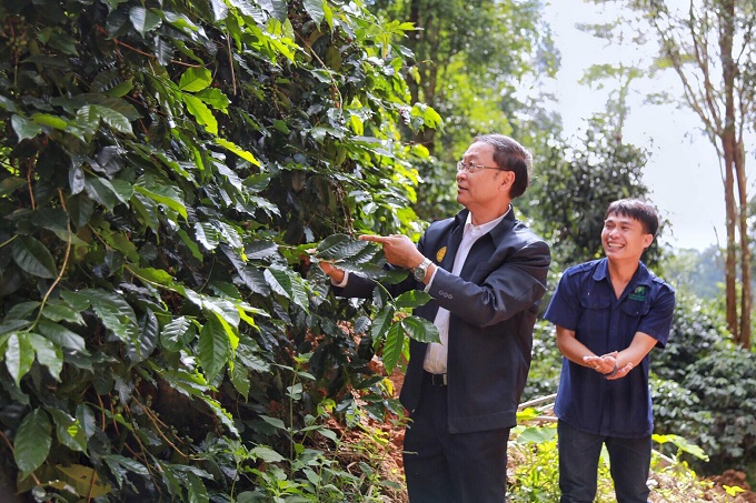 อัลบั้มภาพ