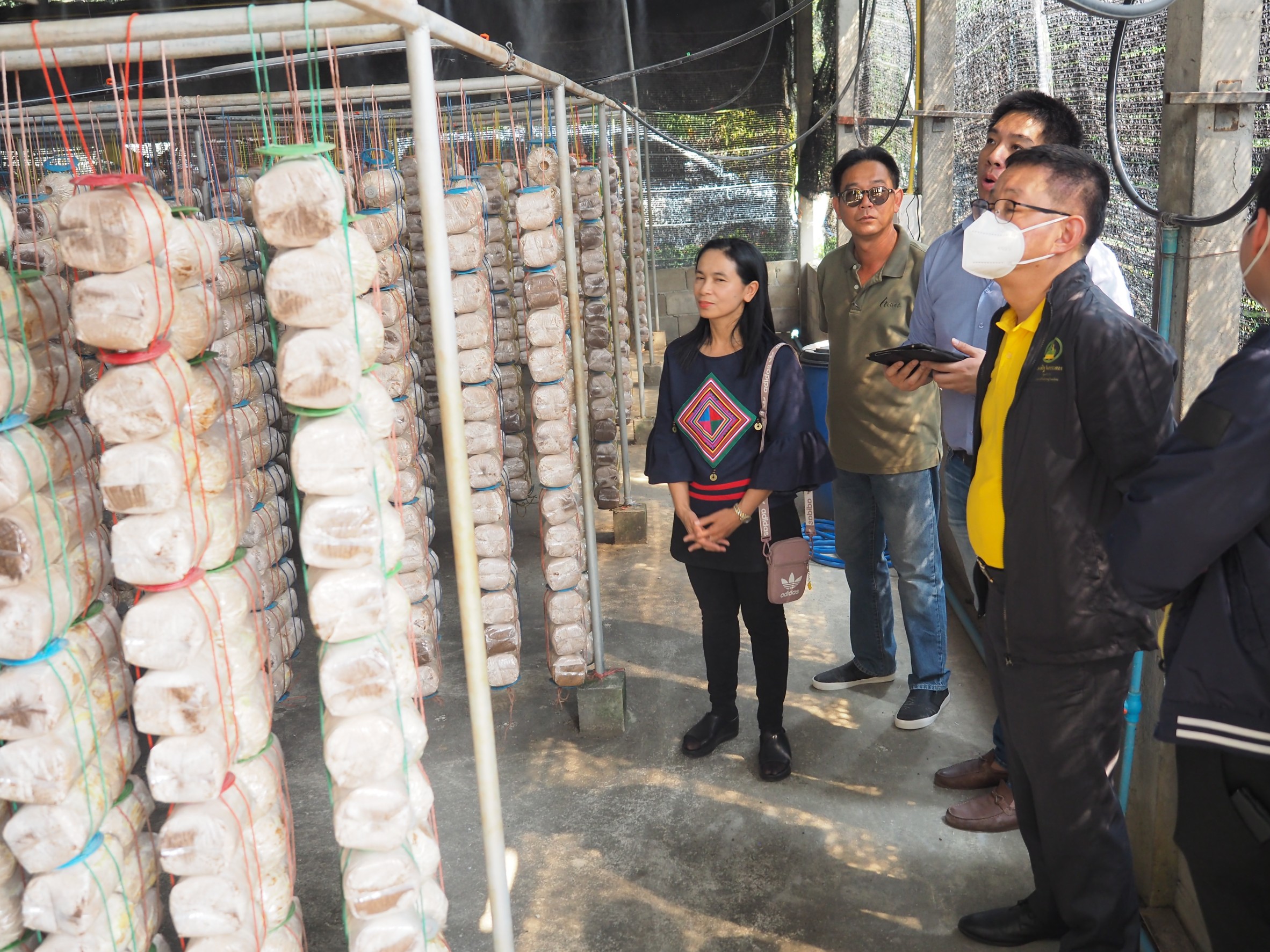 ข่าวรัฐมนตรี