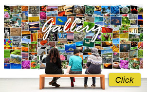Gallery.